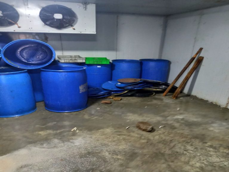 627397837_1213620677609235_1344377051071382410_n