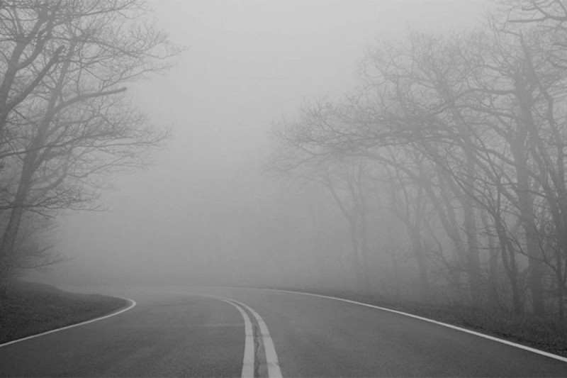 f92ab22f-1c69-4739-9e5c-0aabc30d1772jpeg-1769938299