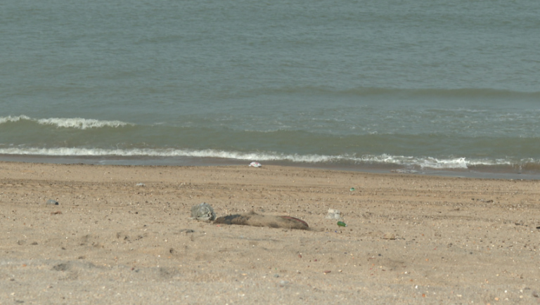 oz6ptnxu5b1ixvyfeuwfekmbafdwu149l3kabuws_1_1771347020