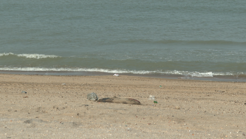 oz6ptnxu5b1ixvyfeuwfekmbafdwu149l3kabuws_1_1771347020