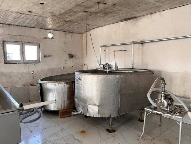 whatsapp-image-2026-02-04-at-094046