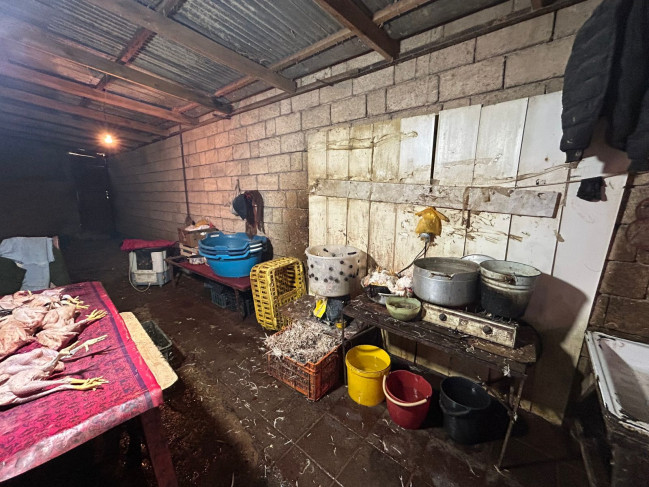 whatsapp-image-2026-02-18-at-162625