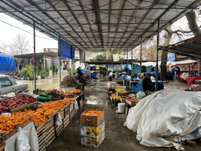 whatsapp-image-2026-02-19-at-100136-2