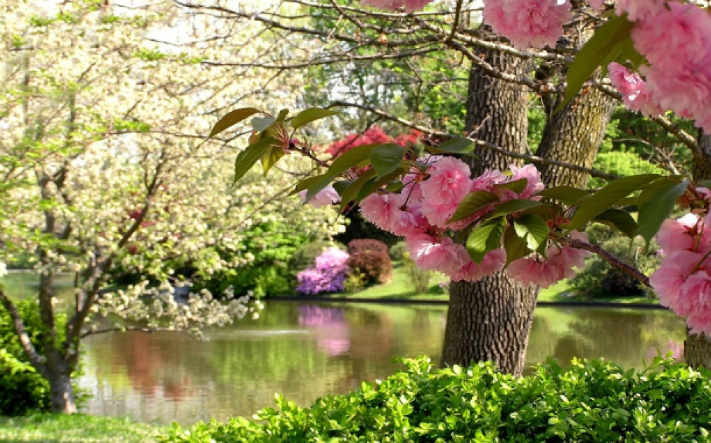 1616225553871918994_1200x630