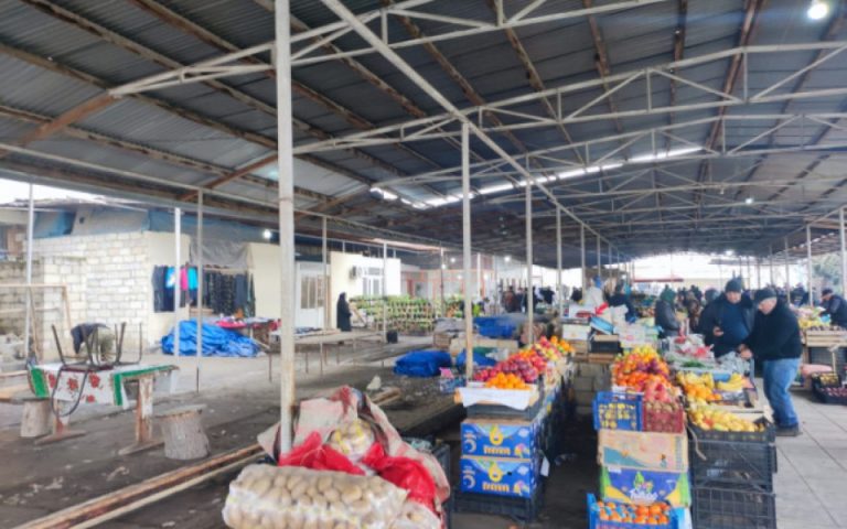 1773416401.17734158195562160016_1200x630