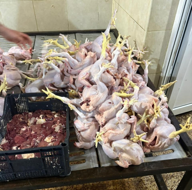 whatsapp-image-2026-03-17-at-163038