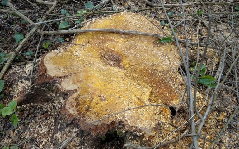 1776682500.9SjKWxgvNusTuhZPybH7GgMzRnpT72suOd12Tw25_1200