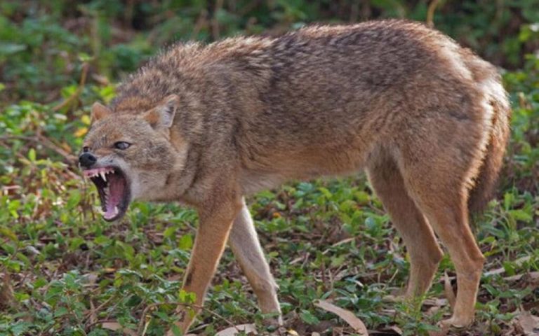 1777022449.63cd609d24f7163cd609d24f72167440399763cd609d24f6f63cd609d24f70