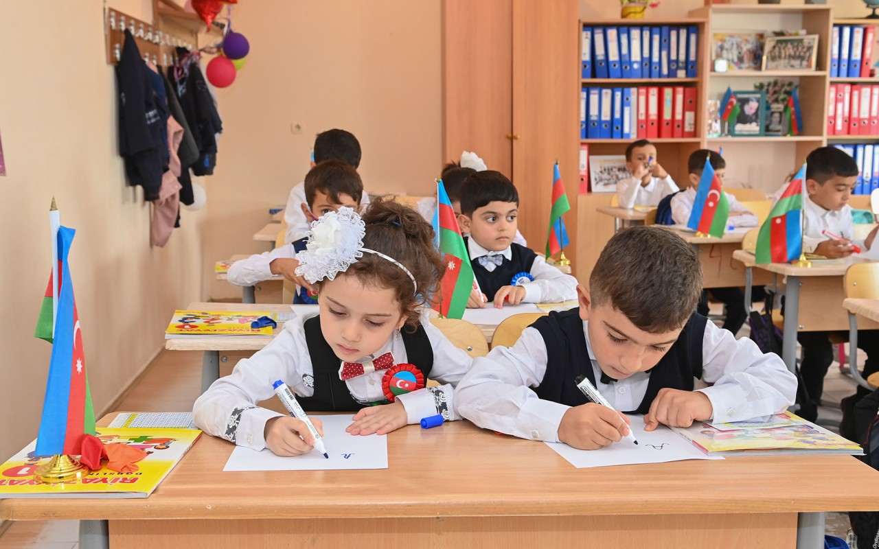 1777037981.02-10.01.24-01