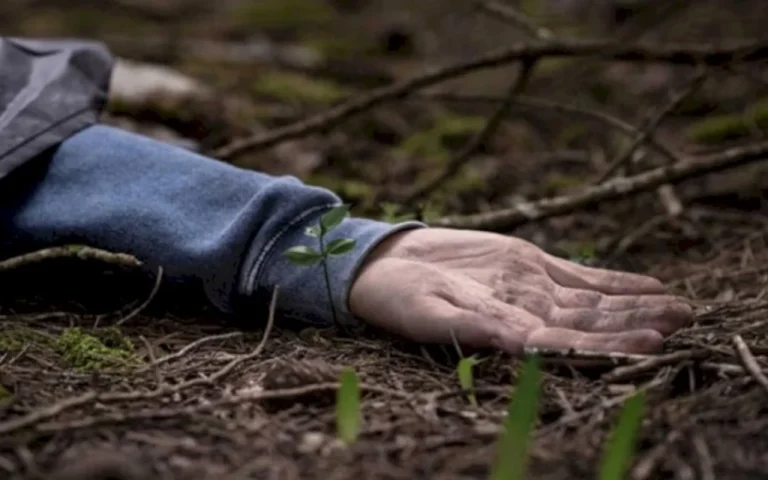 1777052828.dyZez13ygh2SAnKBpGbBOZMcsiEobnscm3jkStiZ_1200