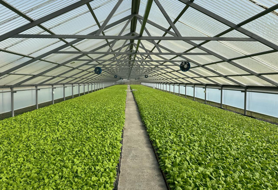 43cb81e9148180e321ec67192a4ee899