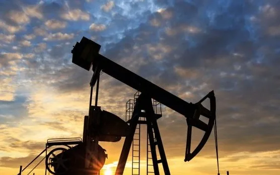 1777482873_1689919572_1678906205_1643002786_1642397142_1609084357_1602159056_neft13