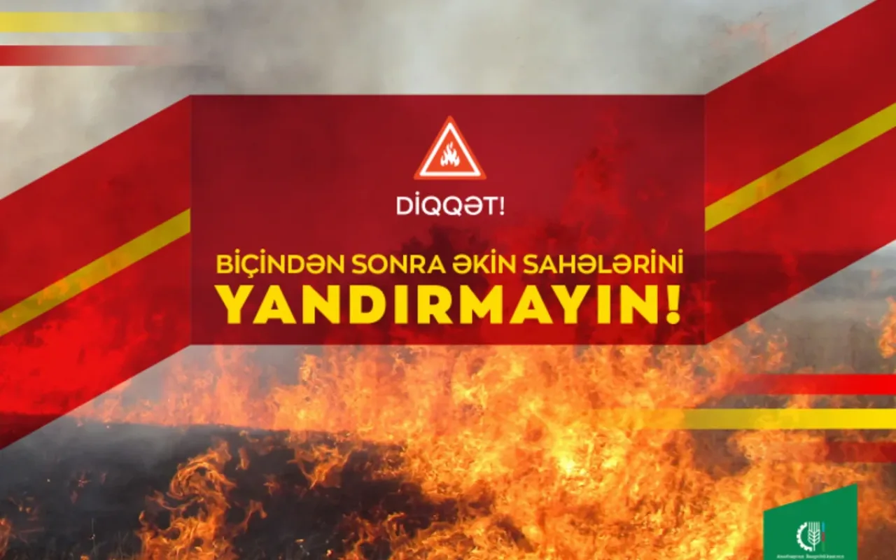 1784528622.wdTn3AavLuYpUlPV1IHqoI14DgMRPVjpaip30QQG_1200