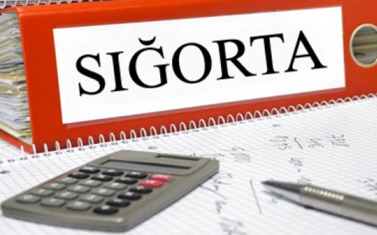 1784698920.1754304711_sigorta