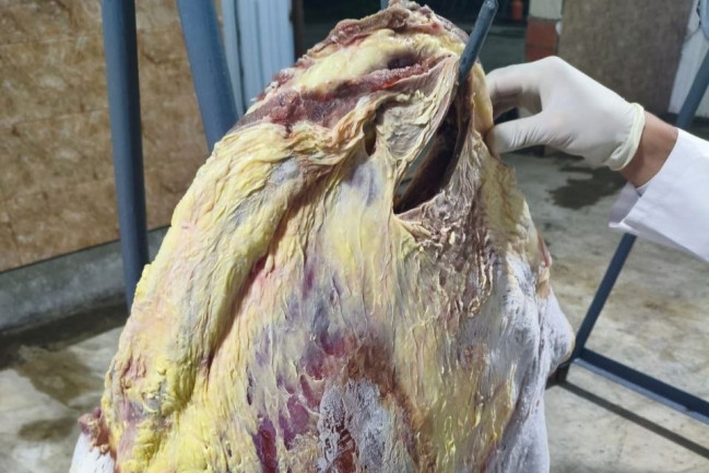 whatsapp-image-2026-07-06-at-173440-2